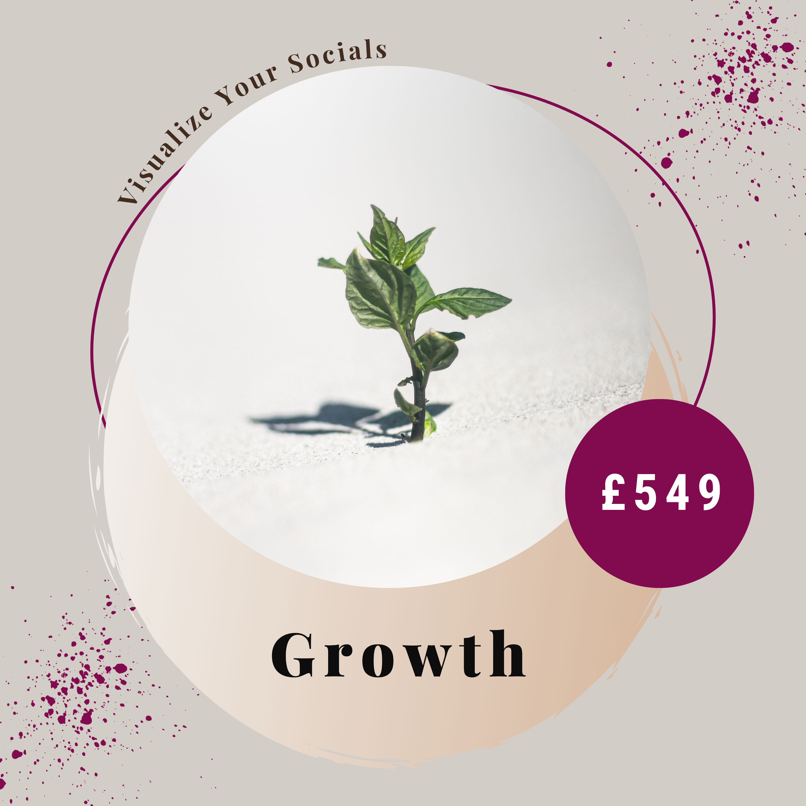 Growth – Social Media Management (Monthly)